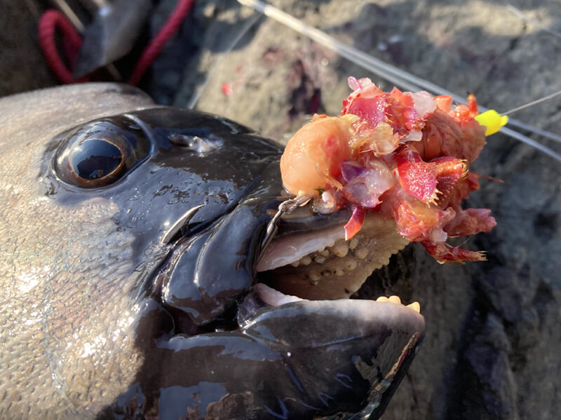 ALL NEW STANDARDイメージ3