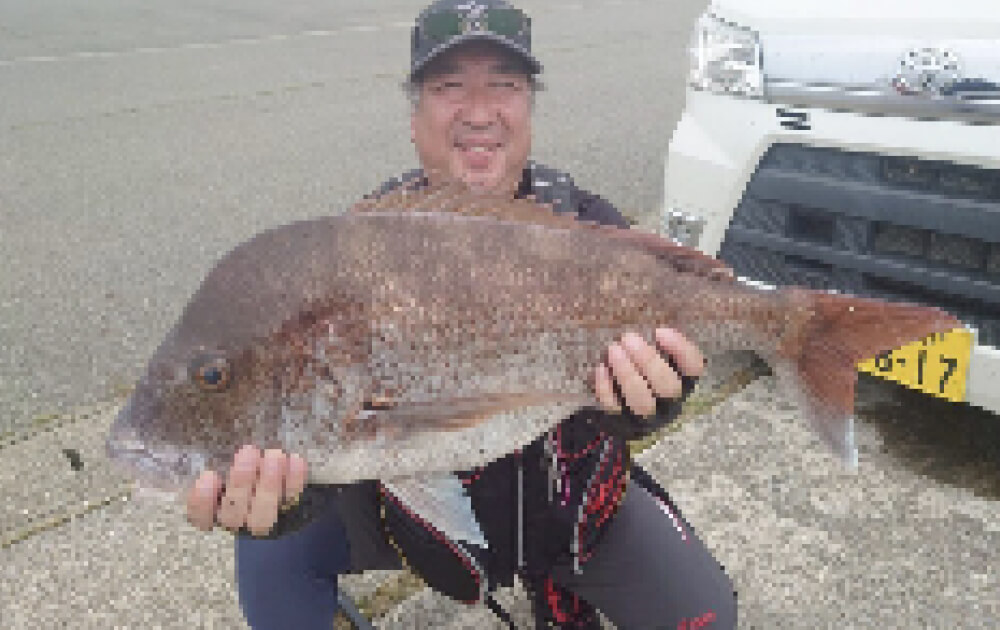 3ディップラン開幕！