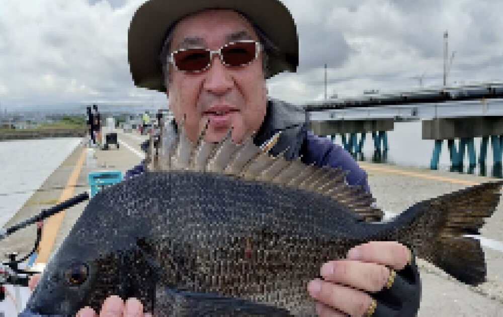 2ディップラン開幕！