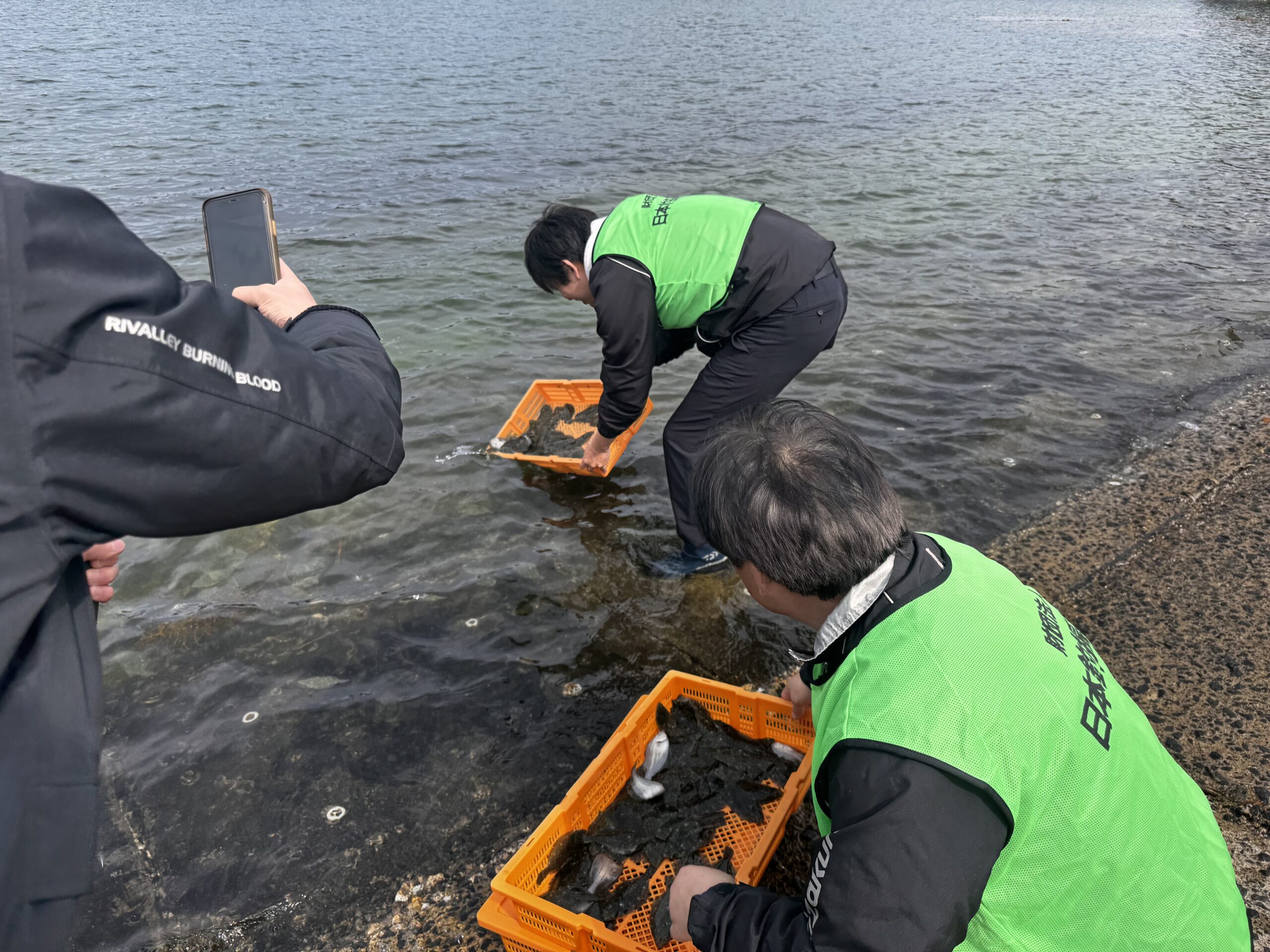 伊万里湾へヒラメ稚魚を放流しました。2/26